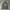 Dickies Indie Casual Hoody Pria gray photo 1