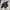 Casual Sweatshirt Pria black photo 3
