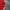 HOODIE ADIDAS LOCK UP CREW RED photo 3