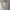 Converse Sportswear Windbreaker Pria white photo 5
