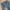 Beslow Pleated Blue Wash Baggy Jeans  photo 5