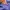 Gramicci Japan Short photo 9