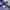 Gramicci Japan Short photo 6