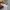 Vintage Y2K Hat Pria white photo 4
