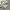Gu super wide cargo pant photo 5
