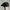 Topi copet flat caps taylormade golf photo 2