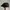 Topi Copet Flat Caps Taylormade Golf