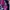 Minimalist Futurist Other Wanita purple cream photo 5
