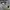 Adidas Sportswear Casual Hat Pria white photo 5
