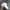 Adidas Sportswear Casual Hat Pria white photo 3