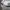 Adidas Sportswear Casual Hat Pria white photo 8
