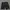 National Geographic Cargo Shorts