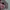 Sebastian knitwear vintage pattern half zipper grandpa sweat photo 2