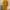 Y2K Cardigan Wanita yellow photo 1