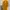 Y2K Cardigan Wanita Yellow