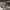 Hoodie Polo Ralph Lauren photo 3