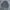 Mine Homme knitwear vintage pattern full zipper grandpa swea photo 5