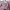 Y2K Coquette Cardigan Wanita pink photo 4
