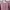 Y2K Coquette Cardigan Wanita pink photo 2