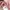 Y2K Coquette Cardigan Wanita pink photo 6