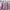Y2K Coquette Cardigan Wanita pink photo 1