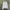 Streetwear Luxury Sweater Pria Gray