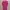 Atasan Pink Wanita