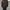 Elura skuba dark forest green blank boxy hodie  photo 2
