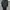 Main lable heavy weight forest green blank boxy hodie  photo 2