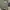 Jacker Pherrow's military jacket AL - 1 photo 5
