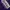 Dickies Streetwear Skater Hoody Pria purple photo 3