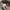 Topi vintage y2k Army  photo 4