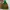 Discovery Multi Pocket Outdoor Gorpcore Jacket photo 2