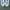 Adidas Streetwear Casual Sneakers Wanita white green photo 4