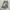 CARGO JORTS BAGGY LIGH BLUE WASHED photo 5