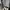 National Geographic Casual Hoody Pria gray photo 2