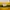 ZARA Casual T-shirt Wanita Yellow