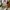 Burberry Y2K Luxury Shoulder bag Wanita brown photo 1