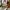 Burberry Y2K Luxury Shoulder Bag Wanita Brown