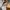 Burberry Y2K Luxury Shoulder bag Wanita brown photo 2
