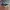 VANS Streetwear Skater Sneakers Wanita white black photo 3