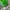 Casual Other Wanita green photo 2