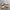 Adidas Casual Sneakers Pria white photo 1