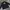 TC Adidas 3stripes photo 2