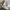BALENCIAGA TRACK FULL BEIGE , BALENCIAGA TRACK , SNEAKERS , photo 9