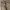 Unbrand canvas double knee pant army photo 8