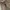 Unbrand Canvas Double Knee Pant Army