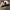 Unbrand canvas double knee pant army photo 5