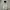 Casual Puffer jacket Pria white photo 1
