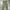 WAREHOUSE & CO.  DUCK DIGGER LOT 1082 CHINOES  OLIVE GREEN 